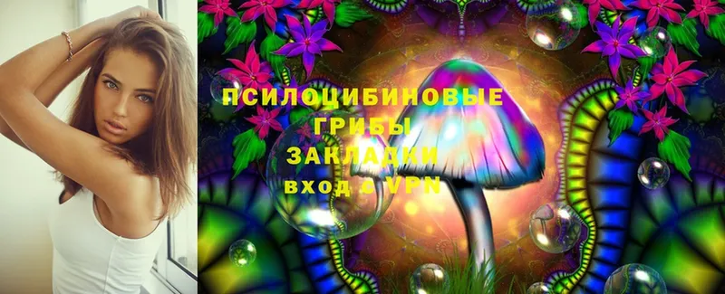 где купить наркоту  Вятские Поляны  Псилоцибиновые грибы Cubensis 